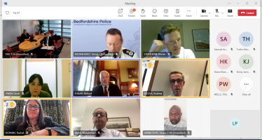 Screen shot of online meeting